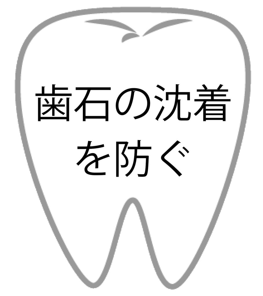 歯石の沈着を防ぐ